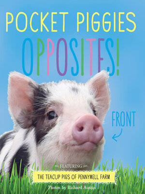 cover image of Pocket Piggies Opposites!
